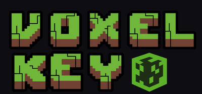 Voxel Key